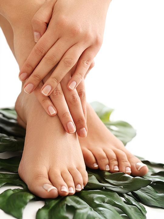 Fingers And Toes in Mill Valley, CA 94941 Service Nail Care